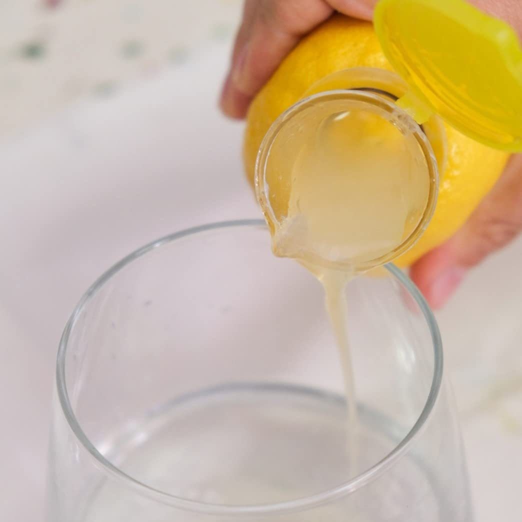 Citrus Squeeze Delight Juicer